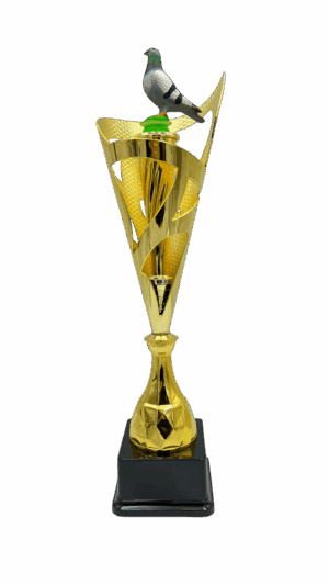 Puchar gołąb - S5GO3