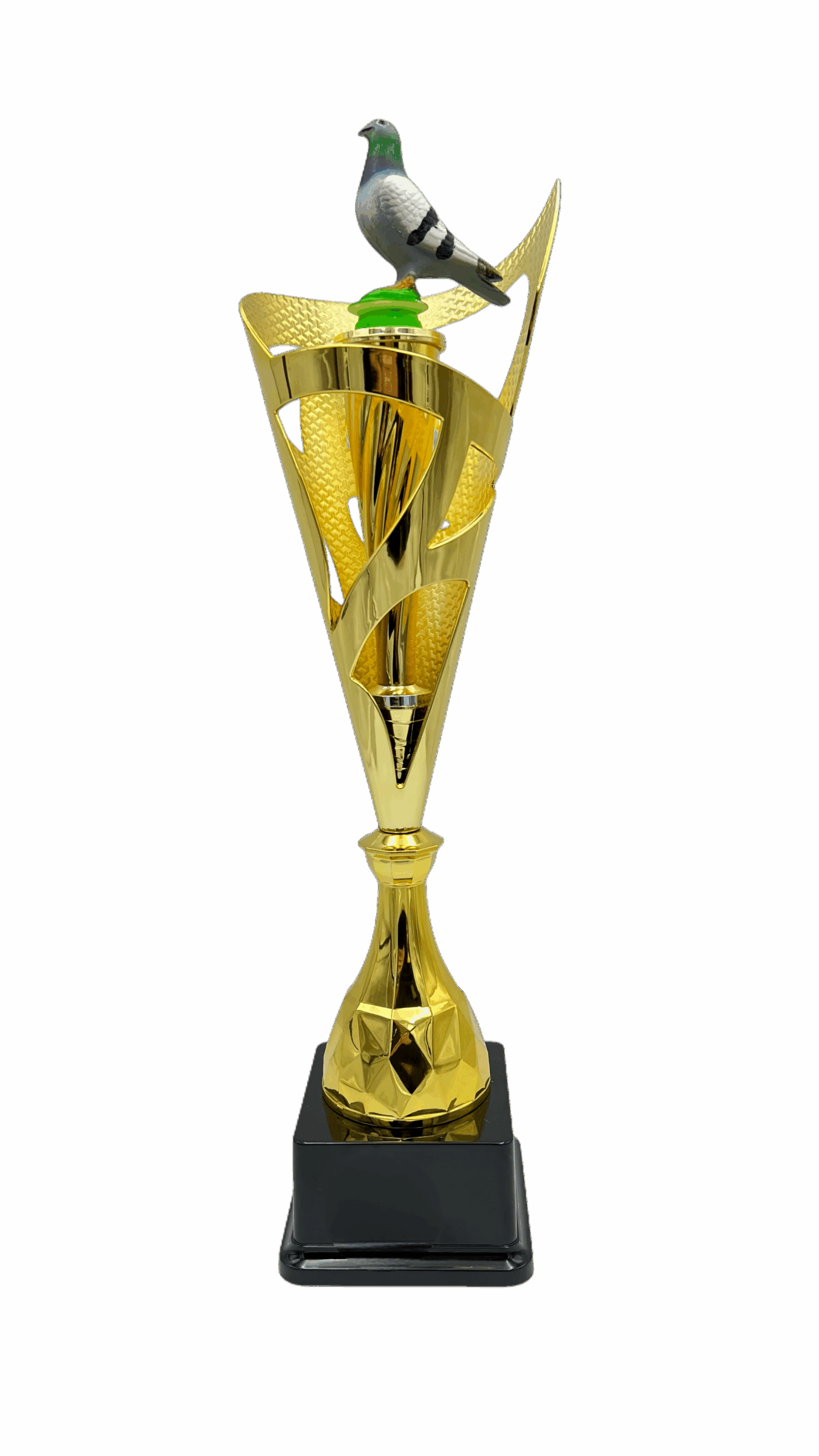 Puchar gołąb - S5GO3