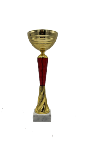 Puchar złoty S6S10