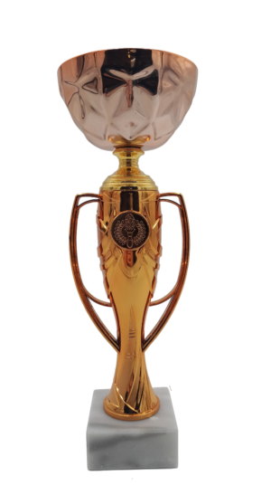 Puchar brązowy