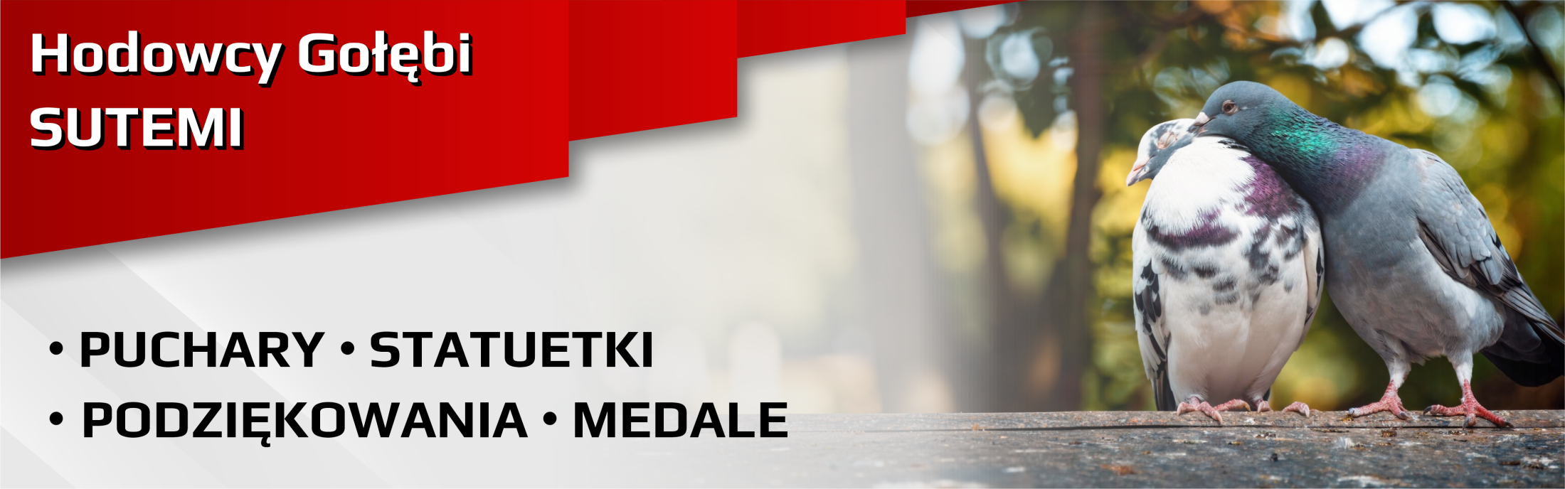 Trofea i Medale dla Hodowców Gołębi - Sutemi