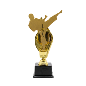Statuetka Karate Złota S6-07