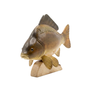 S5-STR2_3