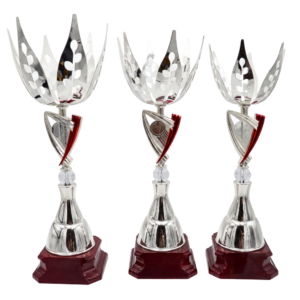 SUT22-61