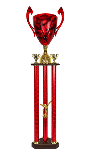 Puchar Karate S6P35