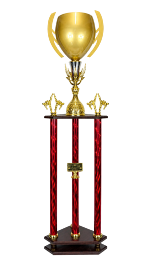 Puchar Karate S6P36