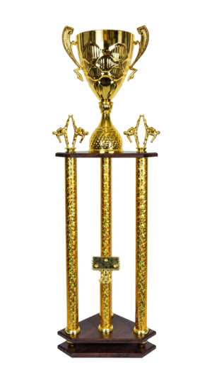 Puchar Karate S6P34