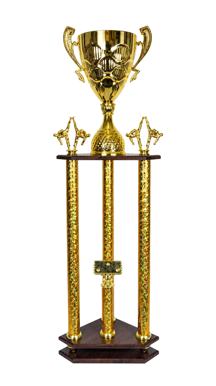 Puchar Karate S6P34